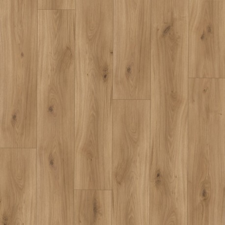 Panele podłogowe Legend Dąb Cottage 88797 AC4 8 mm Premium Floor